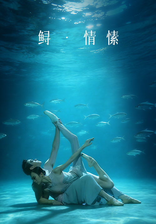 《鲟·情愫》
